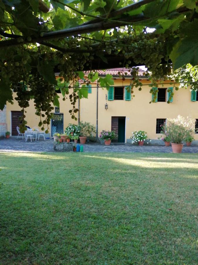 Mugello - Casa Di Campagna Bed and Breakfast Vicchio Exterior foto